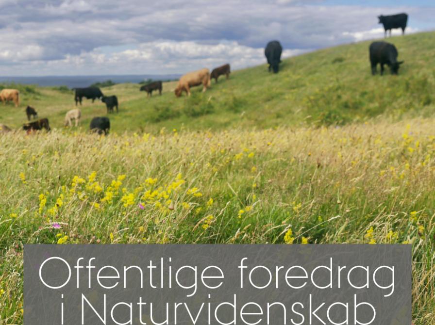 Logo for livestream: Fortidens og fremtidens vilde natur