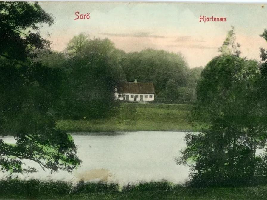 Hjortnæs 
